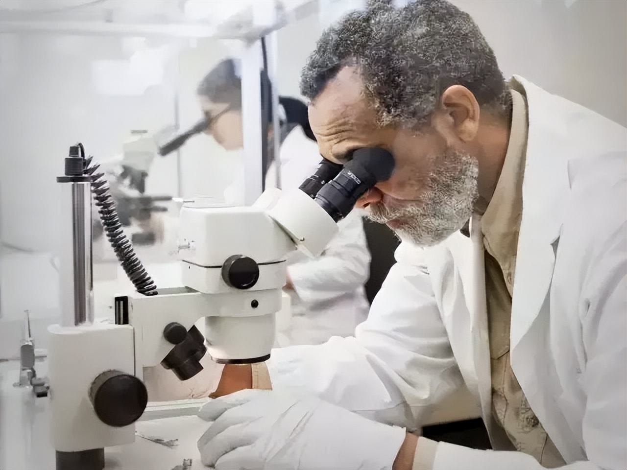 3584584cc6cc4ee9b7dcab7b3920d531