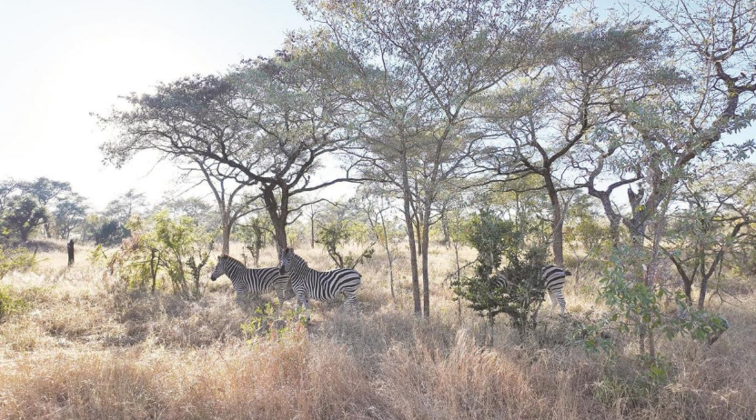 Weixin Image_20250605165626