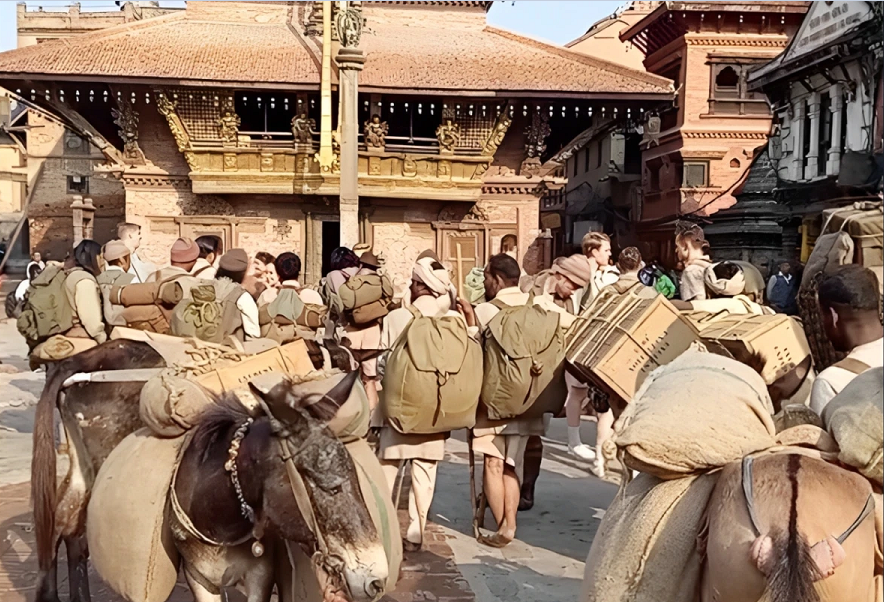 Weixin Image_20250607031713