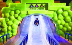 美国穆迪花园“挂着哈尔滨冰灯”