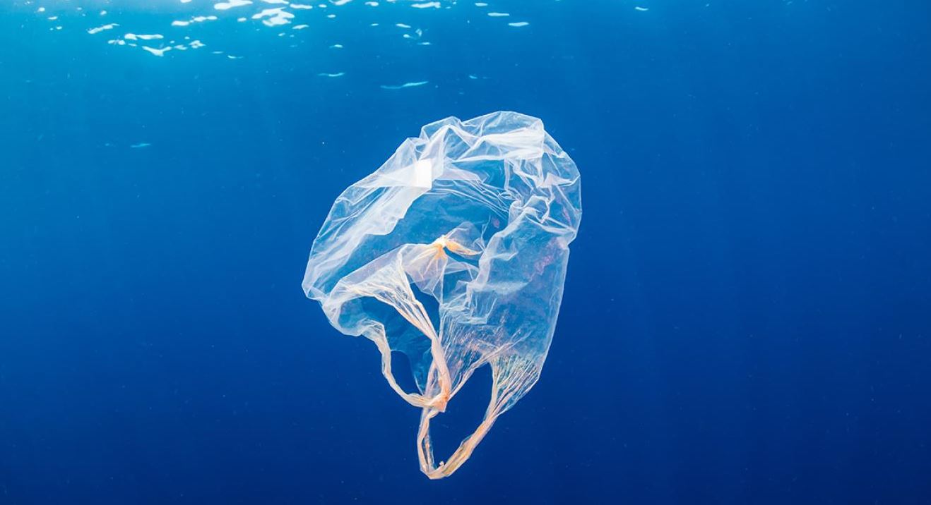 plastic