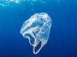 Plastic pollution reached 'unprecedented' levels