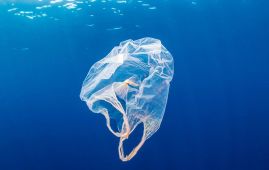 Plastic pollution reached 'unprecedented' levels