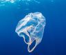 Plastic pollution reached 'unprecedented' levels