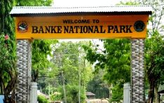 बाँके निकुञ्ज आउने पर्यटकको सङ्ख्या वर्षेनी बढ्दै