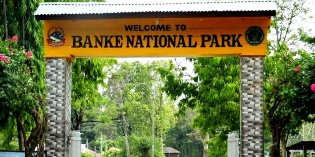 बाँके निकुञ्ज आउने पर्यटकको सङ्ख्या वर्षेनी बढ्दै