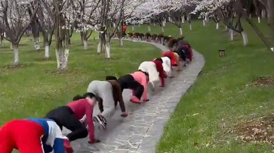 e4b8ade59bbde88081e5b9b4e4babae99b86e4bd93e2809ce9b384e9b1bce788ace2809de581a5e8baabefbc81e58cbbe4b88de5bbbae8aeaeefbc9ae59d8fe5a484