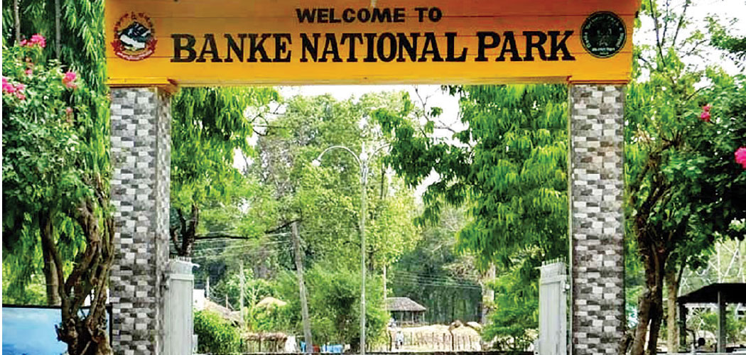 banke