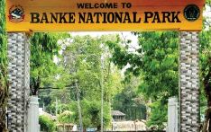 Over 700 tourists visit Banke National Park in 10 months