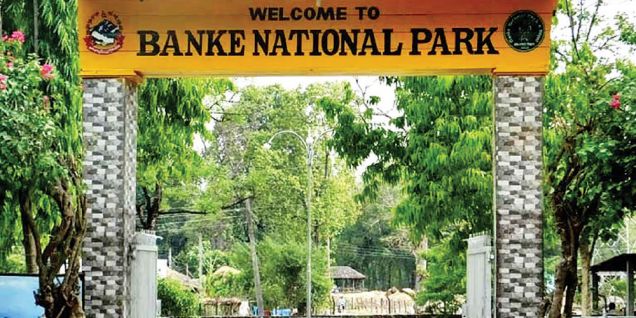 Over 700 tourists visit Banke National Park in 10 months