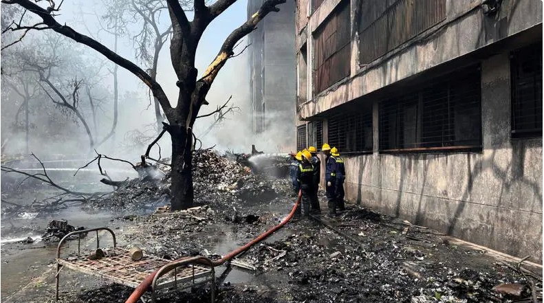 微信截图_20250612160038