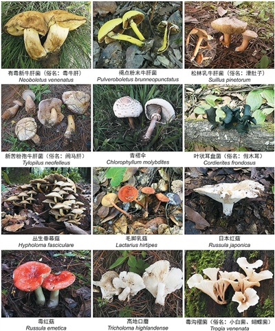 b901292b35f7fcf5da2c005a2db6c669