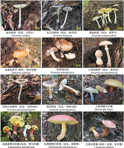 fbfbd6620cc3346d423f99f8df07e69d