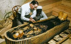 古墓毒菌“逆袭”成为抗癌新星