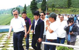 Ilam to promote tourism by offering tea experience