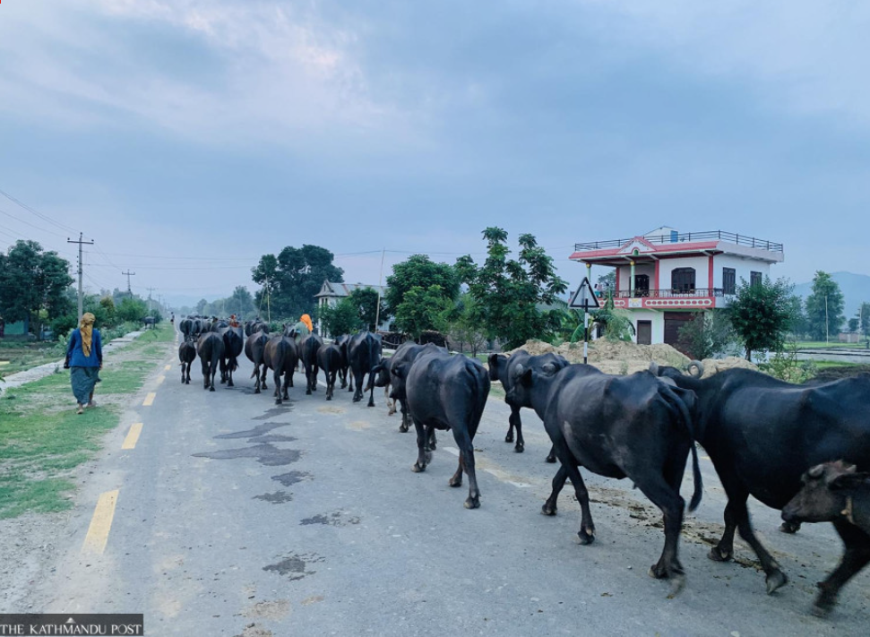 Weixin Image_20250628215309