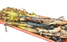 加泰罗尼亚烤大葱，甜的