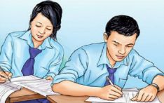 今年中学教育考试 (SEE) 成绩显著提高