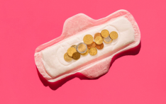 最高法院终审裁决：取消卫生巾税，月经平等迈出关键一步