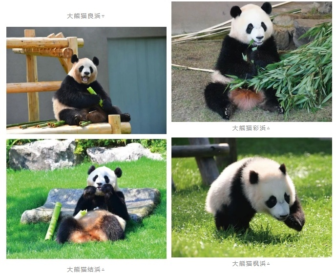 0164911d7ca92308eedc6ff752ff5a35