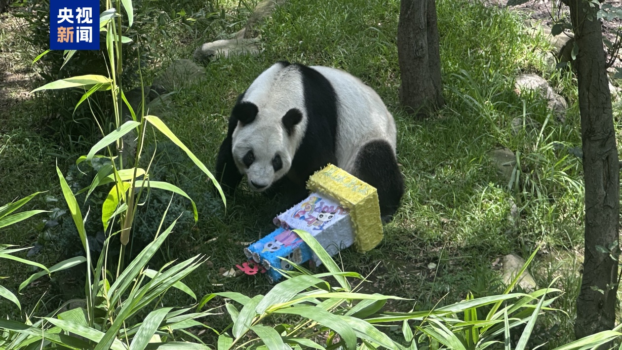 e41e73b6ea9ebd6bd96c330844822a7f