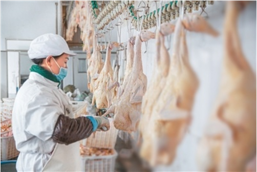 Weixin Image_20250629173014