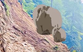 Landslide Blocks Karnali Highway