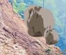 Landslide Blocks Karnali Highway