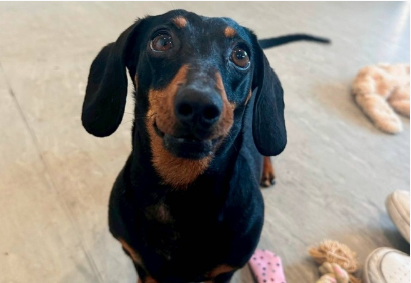 Weixin Image_20250630220426