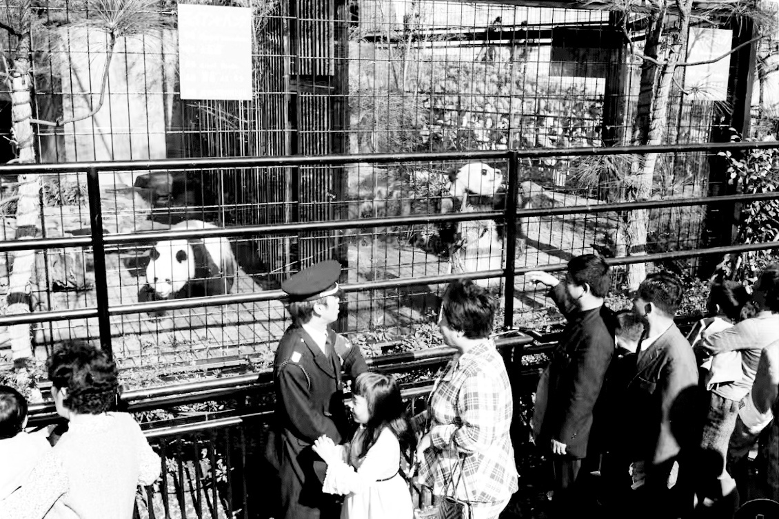 09d214730b2c7dadf0bec34dddf4433bu5