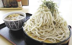 记者手记：在日本政府食堂品尝“大特荞麦面”