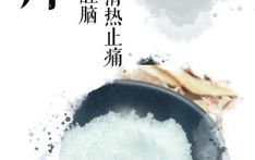 夏日炎炎说冰片