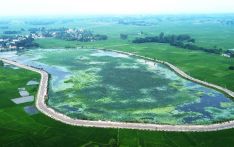 कान्ति ताल : स्थानीय र विदेशी चराको स्वर्ग, संरक्षणको पर्खाइमा