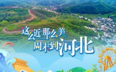 出圈的文旅标语，做对了啥？（新语）