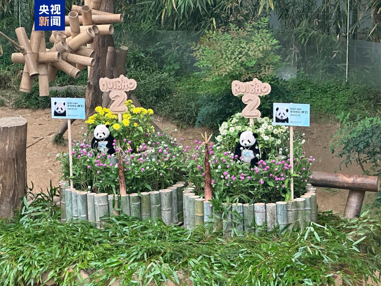 cd8e3006502a278f0dc9739f8084ec36