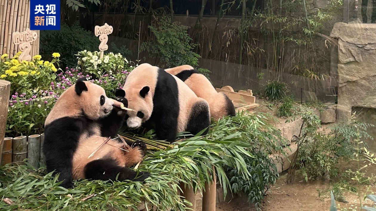 09eedc015742abeaf33f46e19859e5c1