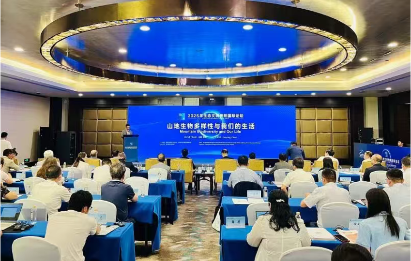 Weixin Image_20250707034928