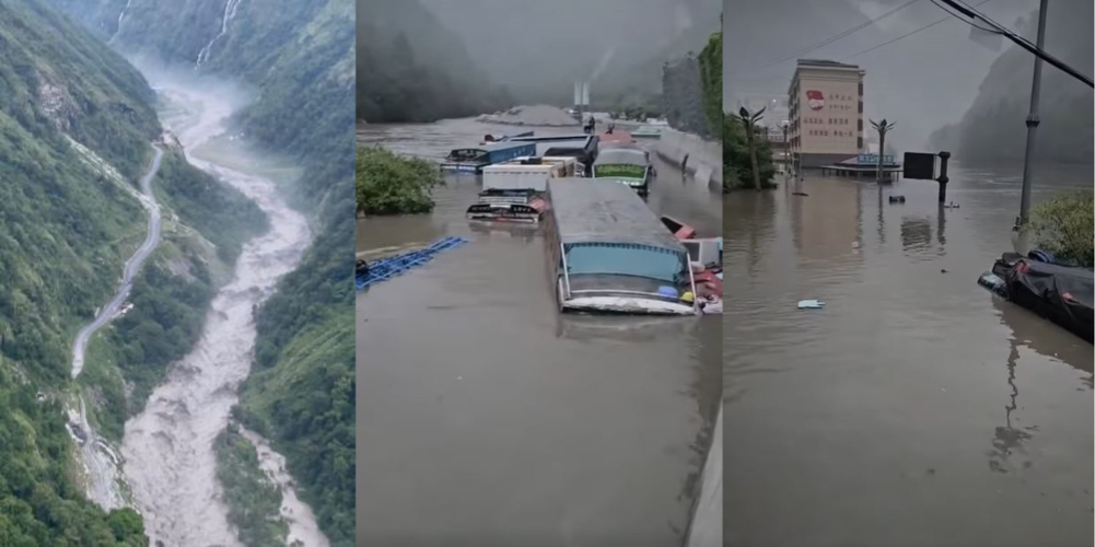 h-sj-2-0872025032141-1000x0