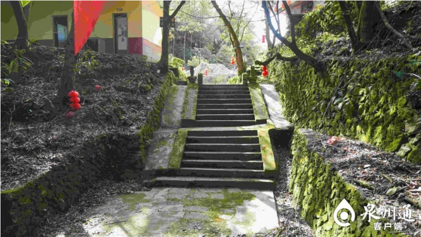 Weixin Image_20250708215642