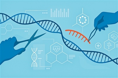 215cbc810da02dd34e8297dc687efbfa