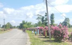 Roadside turned into attractive ‘Asare’ garden