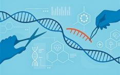 基因编辑：改写生命密码的“神笔”