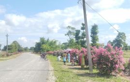 Roadside turned into attractive ‘Asare’ garden