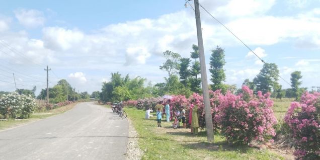 Roadside turned into attractive ‘Asare’ garden