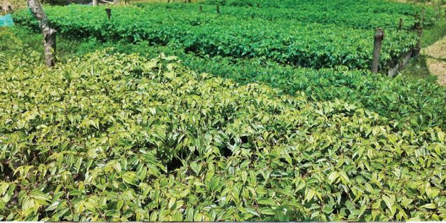 Cultivating Bodhichitta on barren hills