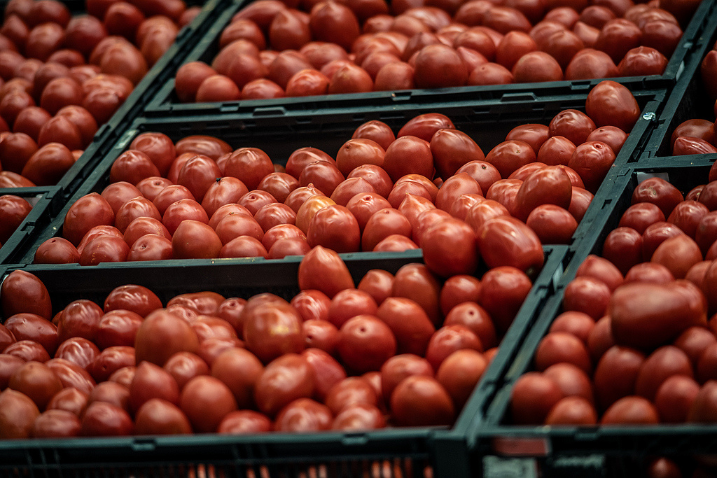 8a3c6ae0ff55ce04e979569f89f52124u5