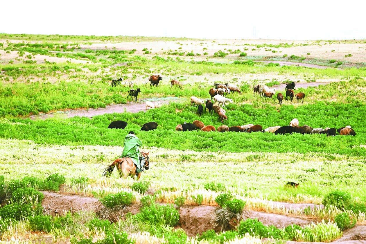 3222c8fb7c4678dc6fecf57fa1638acdu5