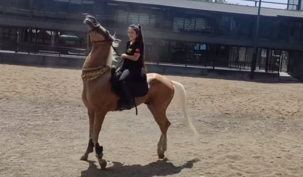 Weixin Image_20250713020822