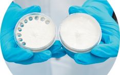 能做塑料能发电，真菌拥有真本领