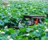 Heatwaves during summer vacation boost cooling economy across China